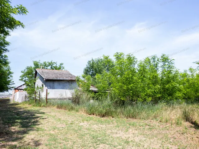 Eladó mezőgazdasági ingatlan Baja 80 nm