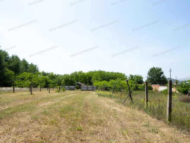 Eladó mezőgazdasági ingatlan Baja 2339 nm
