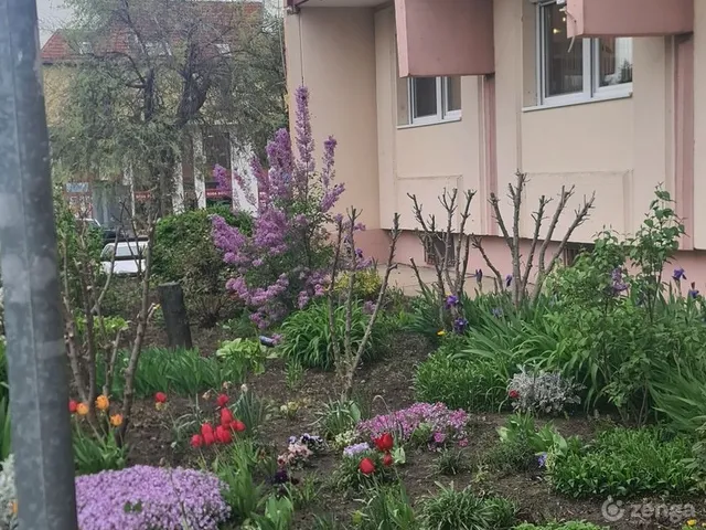 Eladó lakás Budapest XIX. kerület, Felső Kispest 32 nm