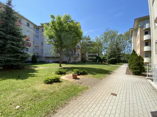 Kiadó lakás Debrecen, Nagyerdő 36 nm