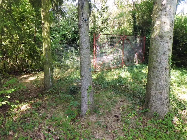 Eladó telek Kőszeg, Királyvölgy 2800 nm