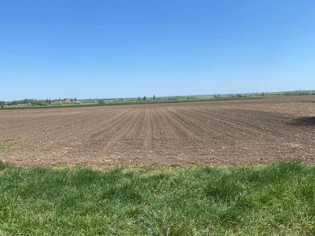 Eladó telek Csősz 1800 nm