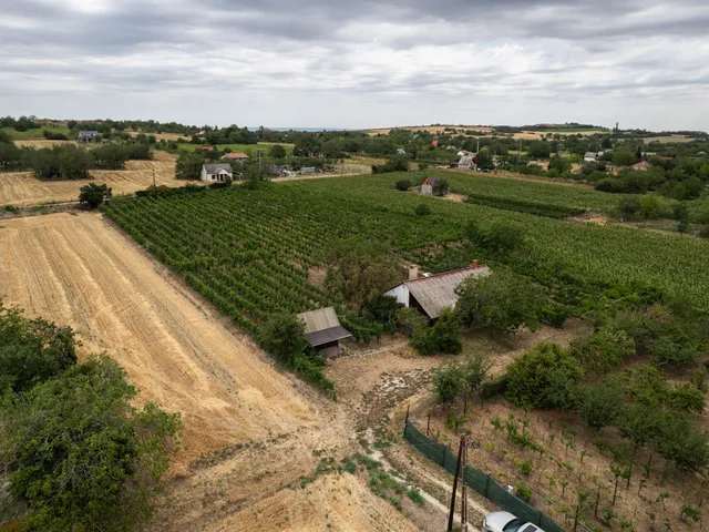 Eladó mezőgazdasági ingatlan Polgárdi 45 nm