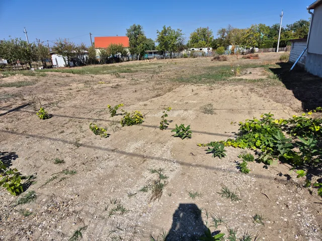Eladó telek Seregélyes 1629 nm