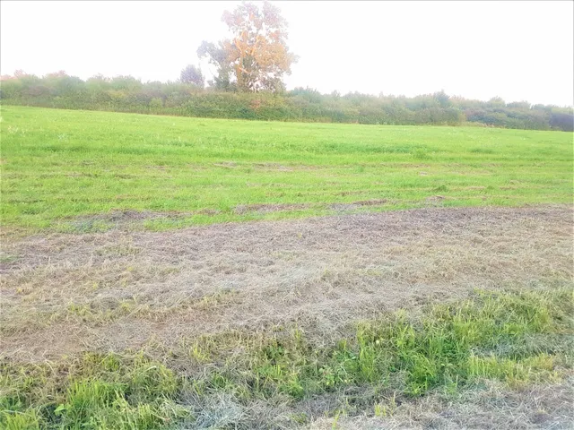 Eladó telek Zalakaros 2086 nm