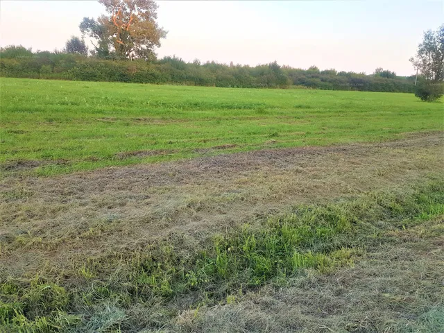 Eladó telek Zalakaros 2086 nm