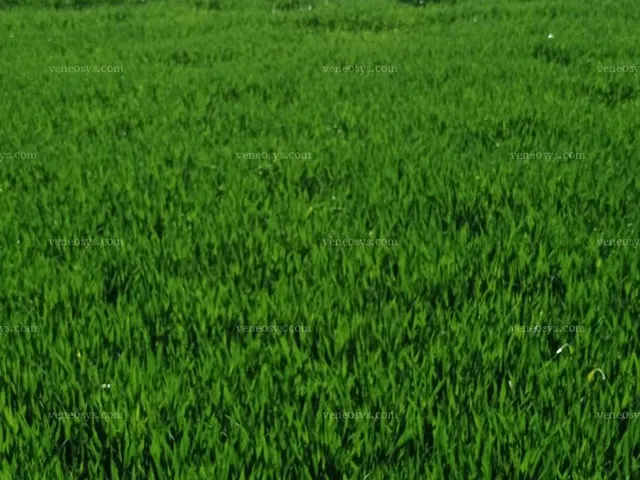 Eladó telek Galambok 7520 nm