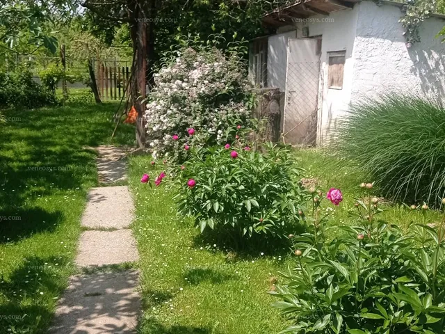 Eladó ház Galambok 315 nm