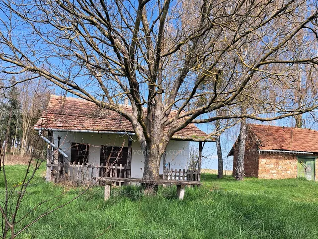 Eladó üdülő és hétvégi ház Miháld 29250 nm