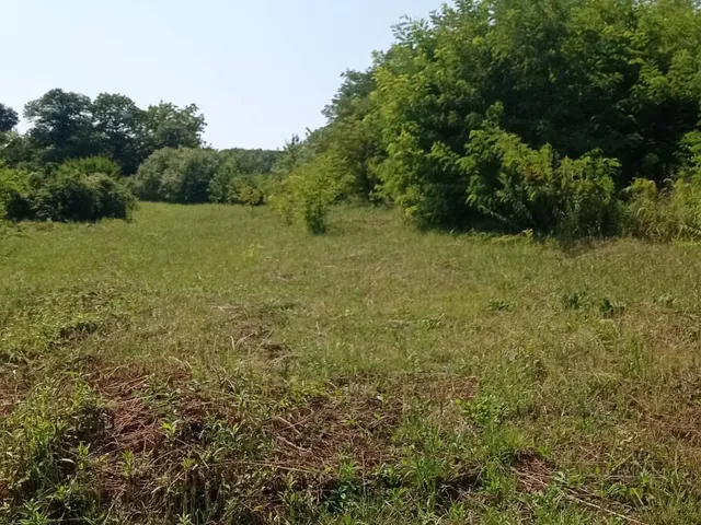 Eladó telek Zalakaros 2149 nm