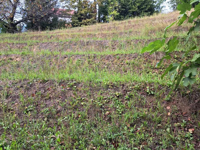 Eladó telek Zalakaros 867 nm