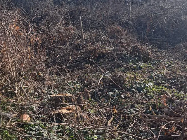 Eladó telek Zalakaros 770 nm