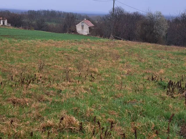 Eladó üdülő és hétvégi ház Miháld 30 nm