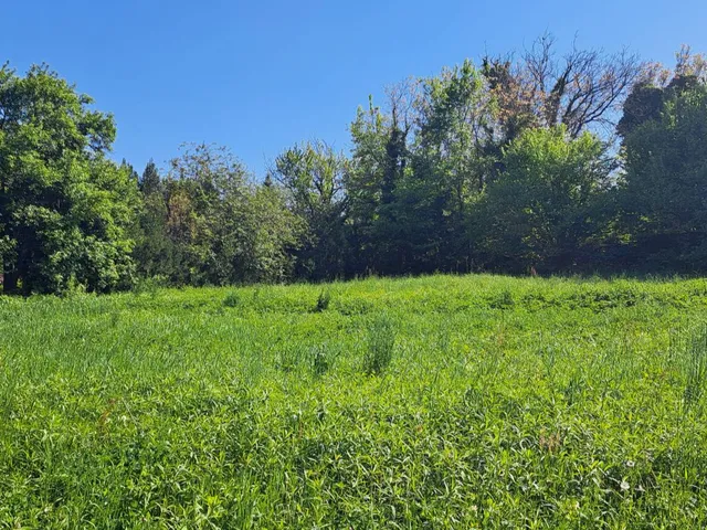 Eladó telek Zalakaros 1725 nm