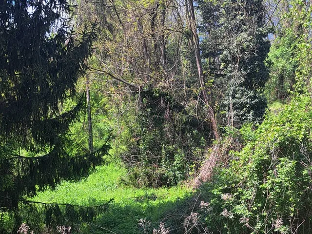 Eladó telek Zalakaros 3214 nm