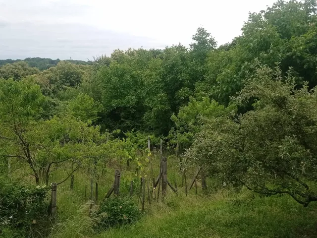 Eladó üdülő és hétvégi ház Zalaújlak 37 nm