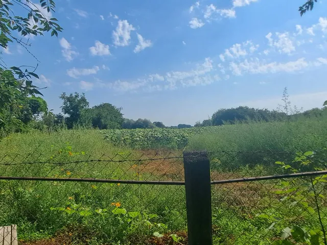 Eladó ház Nemesdéd 115 nm