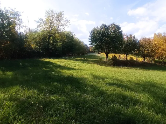 Eladó telek Galambok 2349 nm