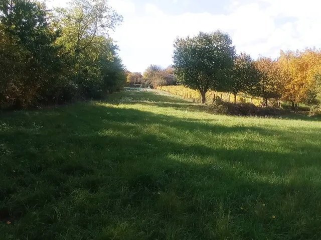 Eladó telek Galambok 2349 nm