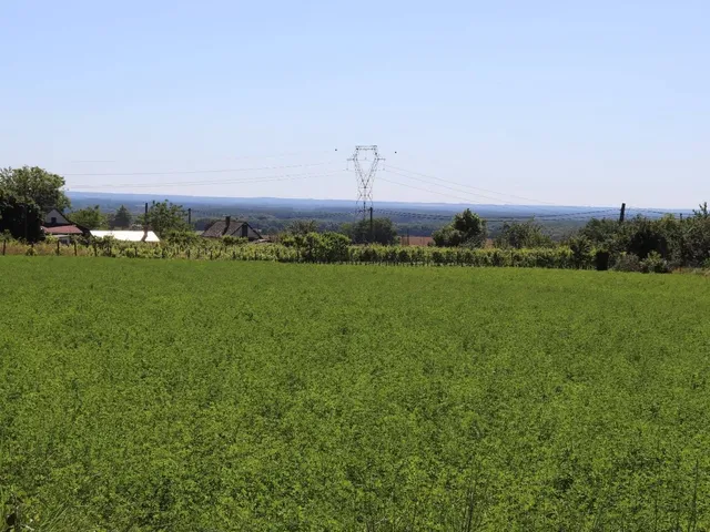 Eladó üdülő és hétvégi ház Galambok 45 nm