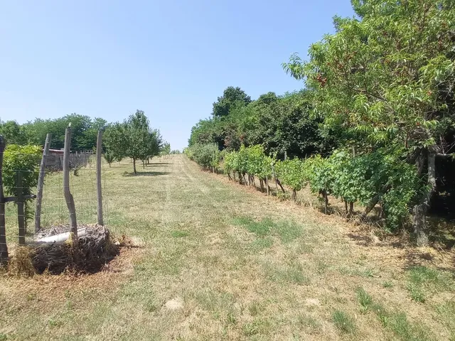 Eladó üdülő és hétvégi ház Zalakaros 50 nm