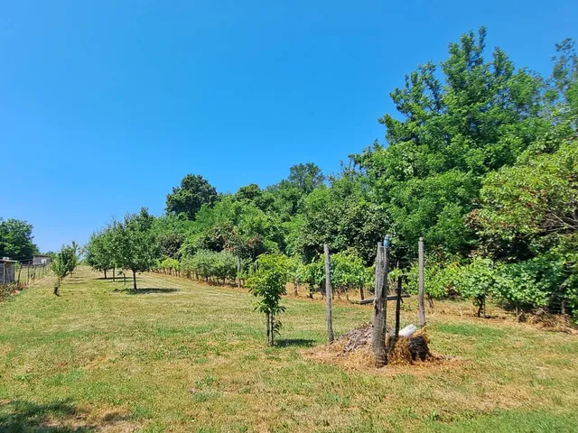 Eladó üdülő és hétvégi ház Zalakaros 50 nm