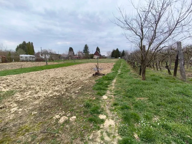 Eladó üdülő és hétvégi ház Galambok 30 nm