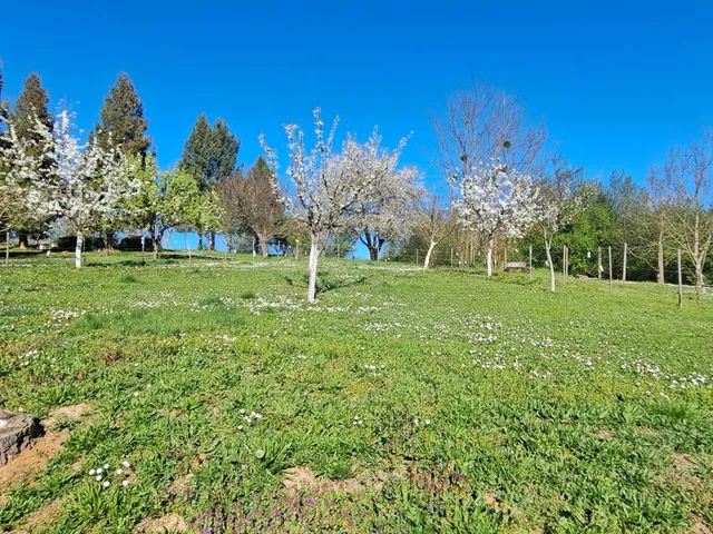 Eladó üdülő és hétvégi ház Galambok 40 nm