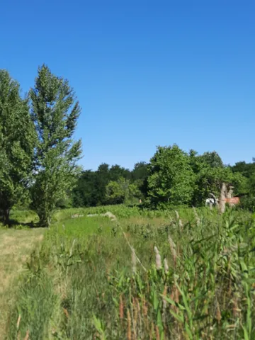 Eladó telek Győr, Győrszentiván 4000 nm