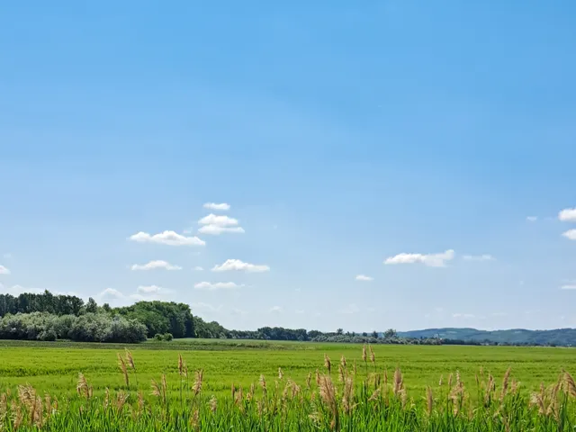 Eladó mezőgazdasági ingatlan Győrújbarát 45896 nm