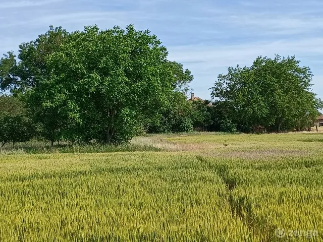 Eladó telek Tiszaderzs 140 nm