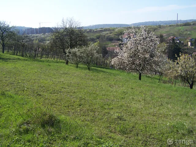 Eladó telek Miskolc, Margitta, Közdomb 1134 nm