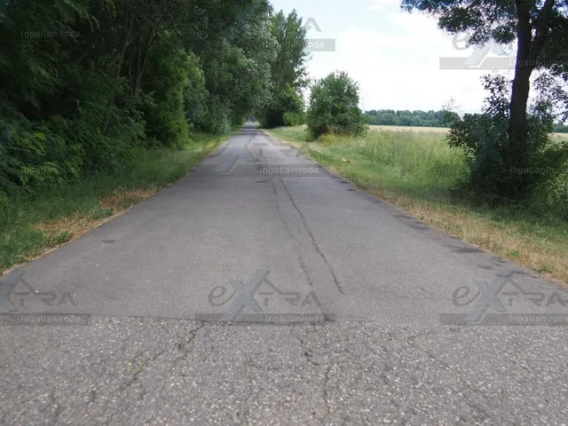 Eladó kereskedelmi és ipari ingatlan Hódmezővásárhely 14000 nm