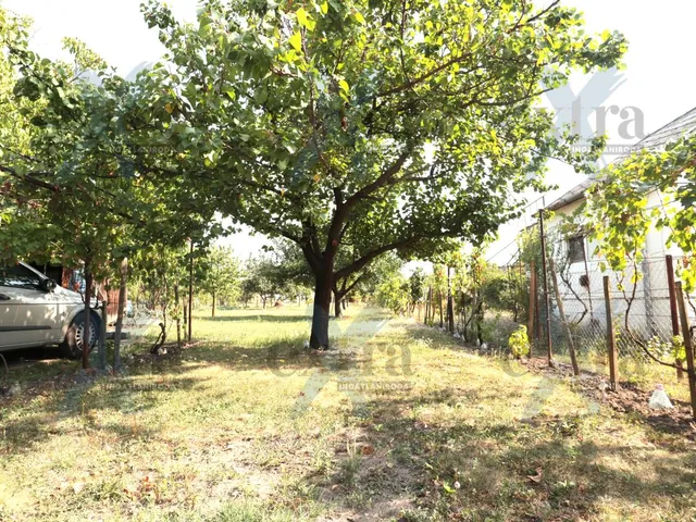 Eladó mezőgazdasági ingatlan Szeged 890 nm