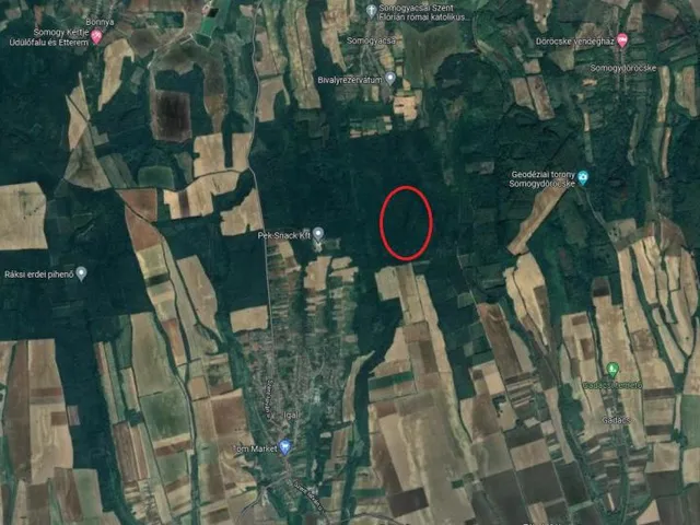 Eladó mezőgazdasági ingatlan Igal 9129 nm