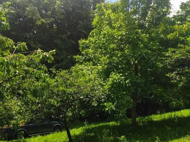 Eladó telek Kaposvár, Töröcske 5187 nm
