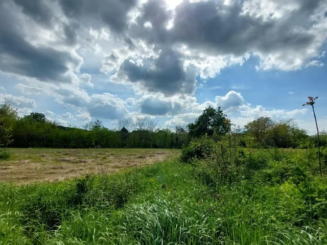 Eladó telek Nagyberki, külterület 5182 nm