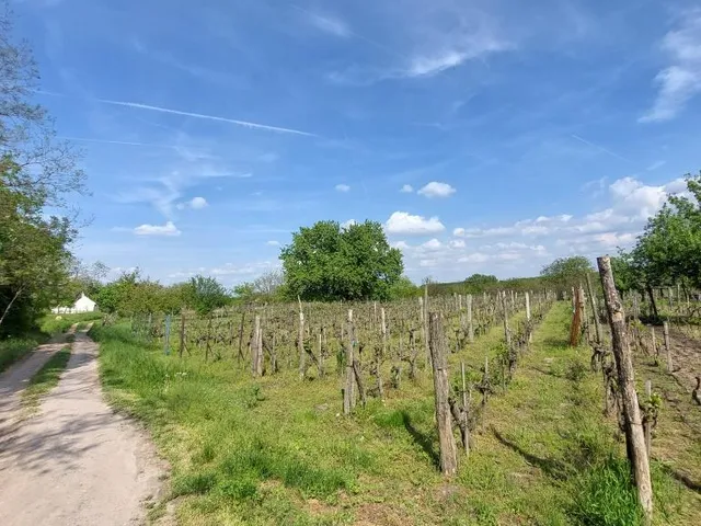 Eladó telek Nagyberki, külterület 3496 nm