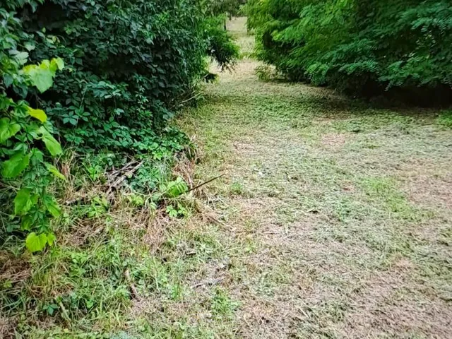 Eladó telek Mezőcsokonya, Fő utca 2874 nm