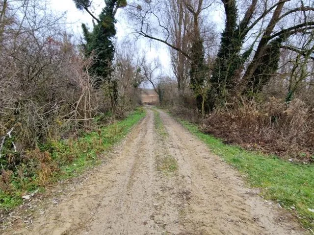 Eladó mezőgazdasági ingatlan Gamás 38400 nm