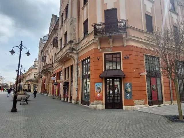 Eladó kereskedelmi és ipari ingatlan Kaposvár, Belváros, Fő utca 59 nm