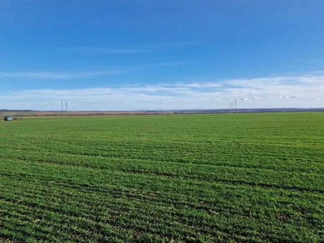 Eladó telek Kaposvár, Toponár, Orci út 15847 nm
