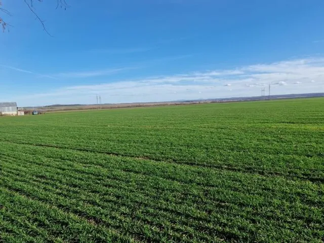 Eladó mezőgazdasági ingatlan Kaposvár, Toponár, Orci út 15847 nm