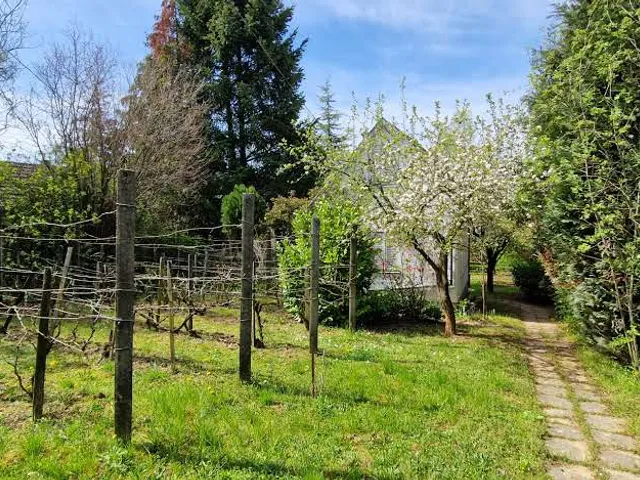 Eladó telek Kaposvár, Toponár, Külső utca 1242 nm