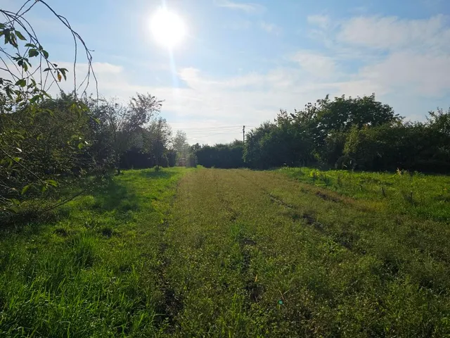 Eladó telek Kisasszond, --- 1188 nm