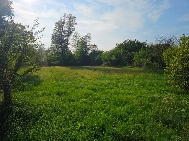 Eladó telek Kisasszond, --- 1235 nm