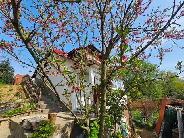 Eladó ház Kaposvár 50 nm