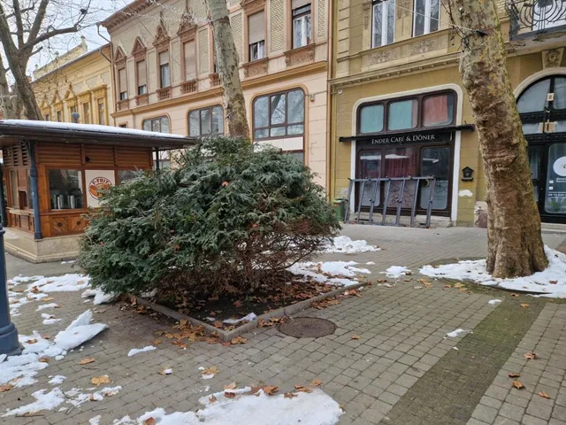 Kiadó kereskedelmi és ipari ingatlan Kaposvár, Belváros, Noszlopy Gáspár utca 150 nm