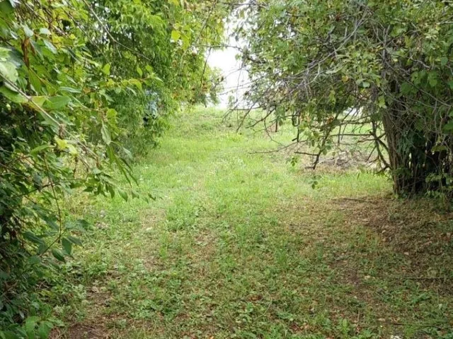 Eladó telek Orfű, Öreghegy 858 nm