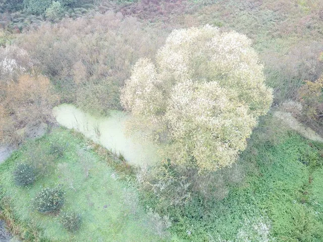 Eladó telek Dubicsány 1140 nm